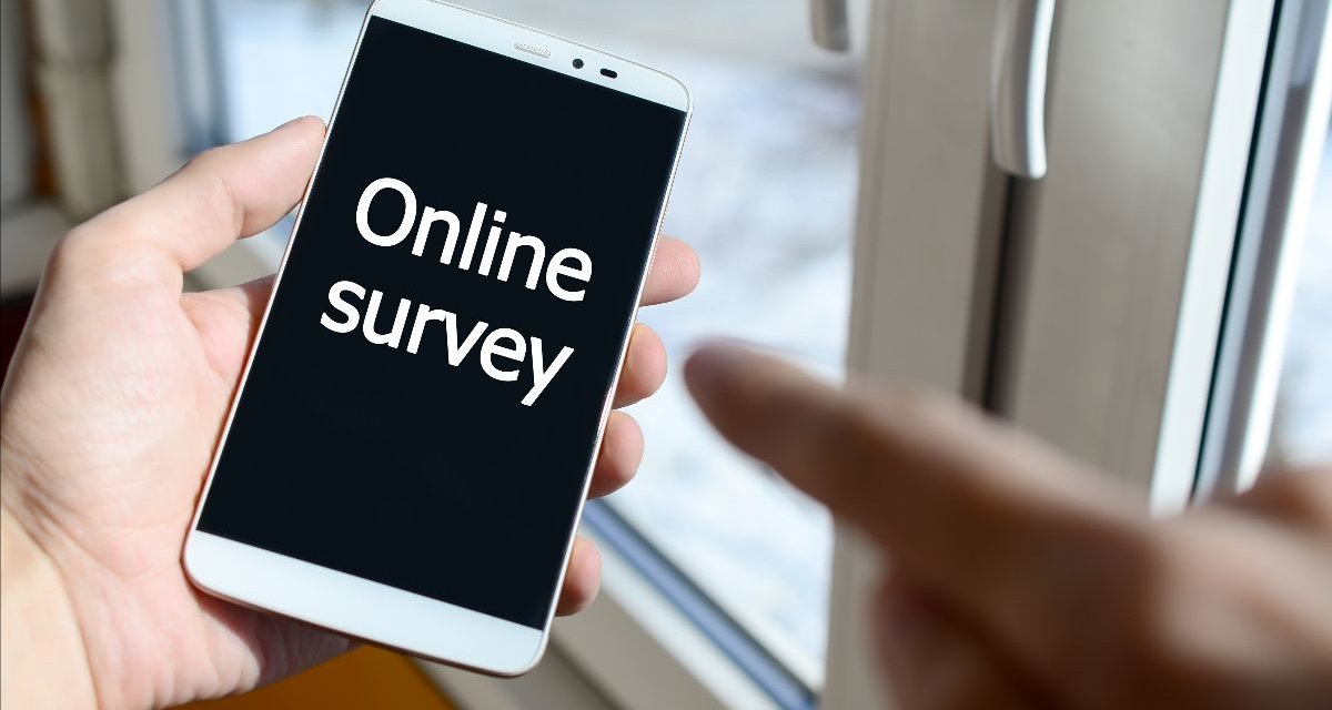 Lincolnshire county council customer surveys