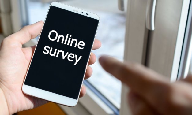 Lincolnshire county council customer surveys