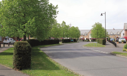 More Street Trees in South Kesteven