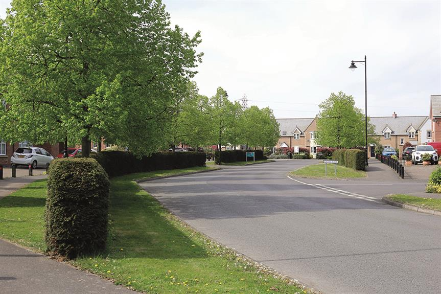 More Street Trees in South Kesteven